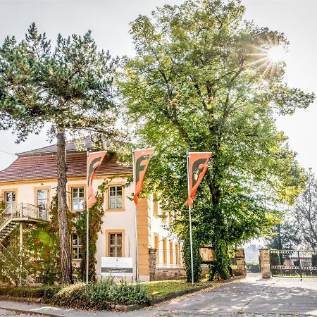 Stadtschloss Hecklingen*** Hecklingen  Exteriér fotografie