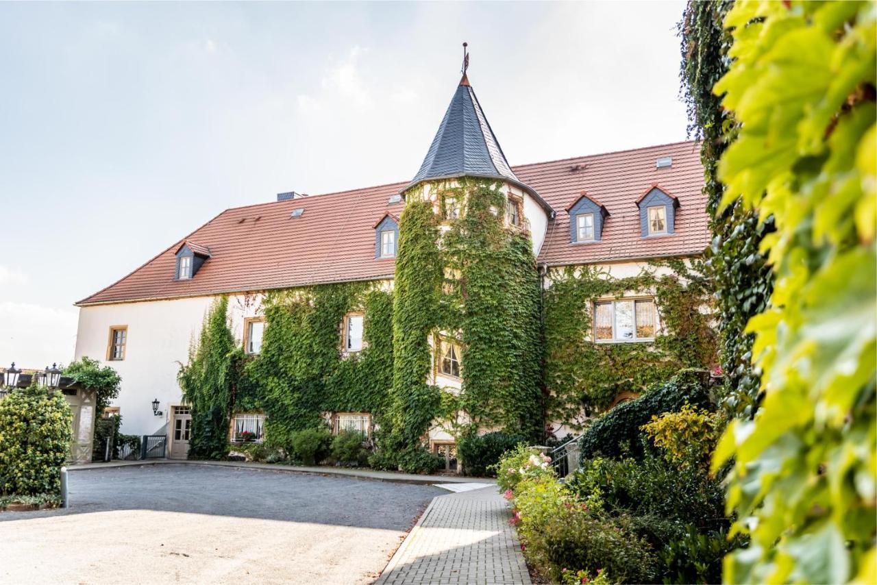 Stadtschloss Hecklingen*** Hecklingen  Exteriér fotografie