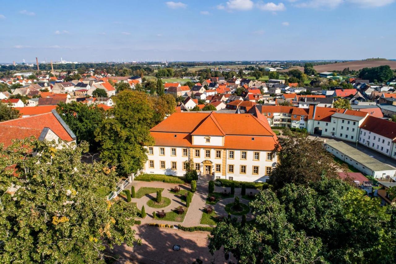 Stadtschloss Hecklingen*** Hecklingen  Exteriér fotografie