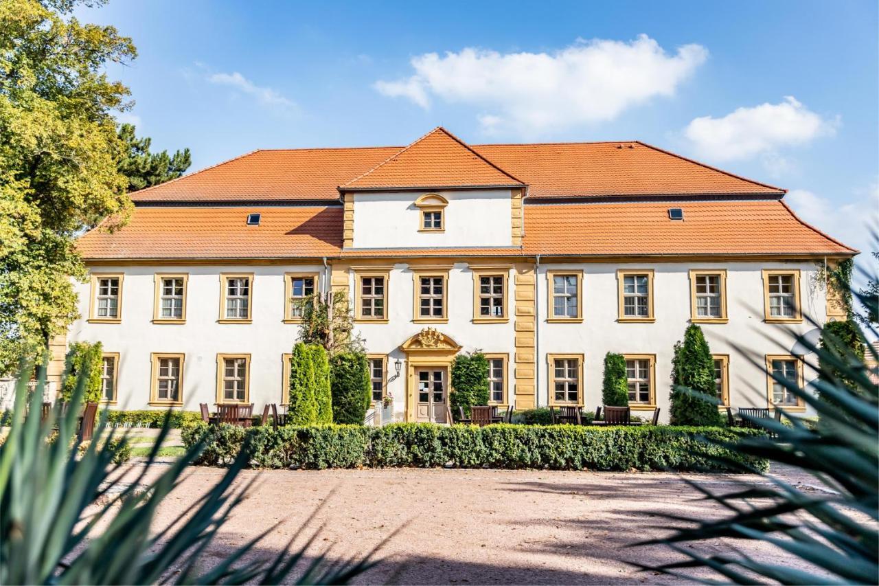 Stadtschloss Hecklingen*** Hecklingen  Exteriér fotografie